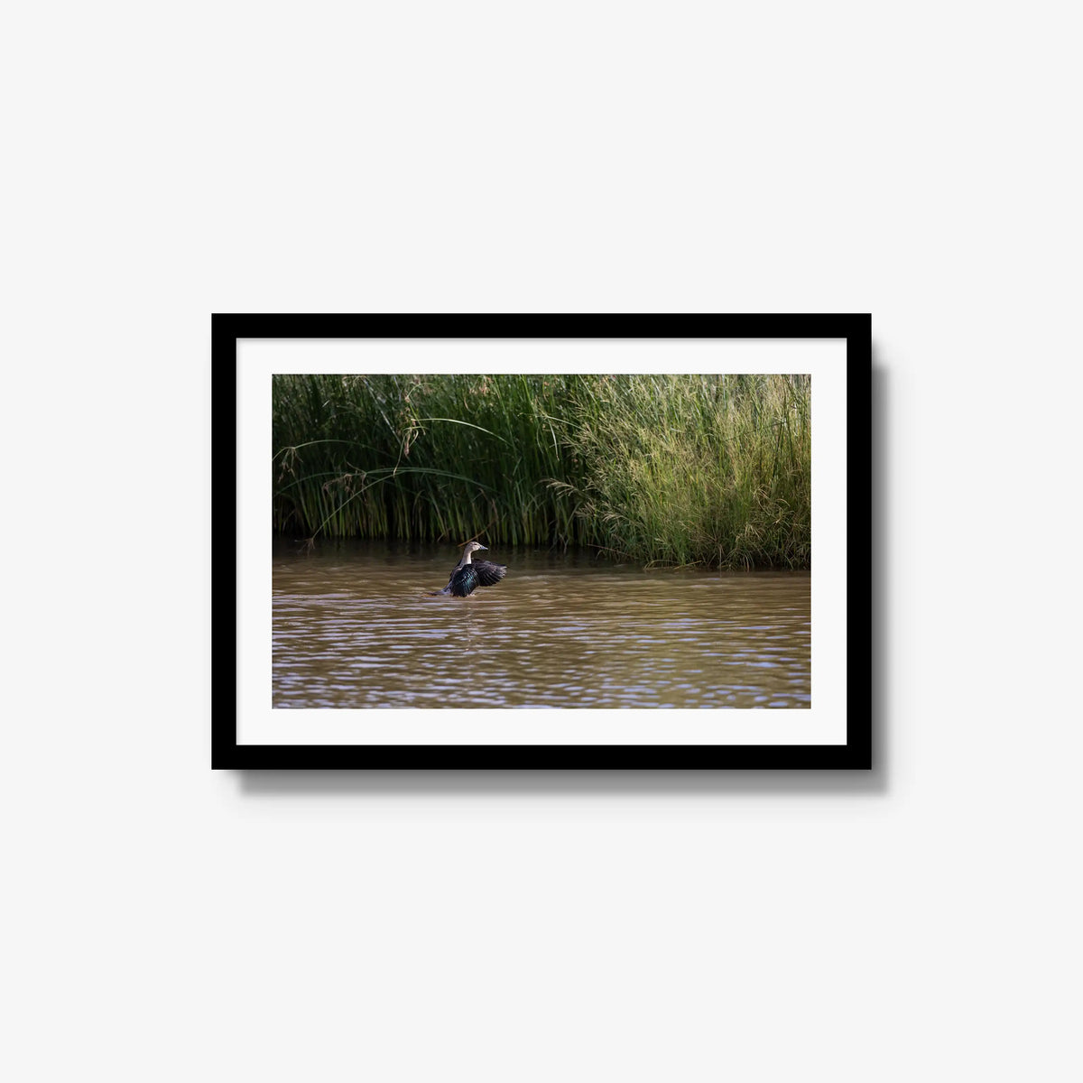 Wing Over Still Water — medium / black / mat