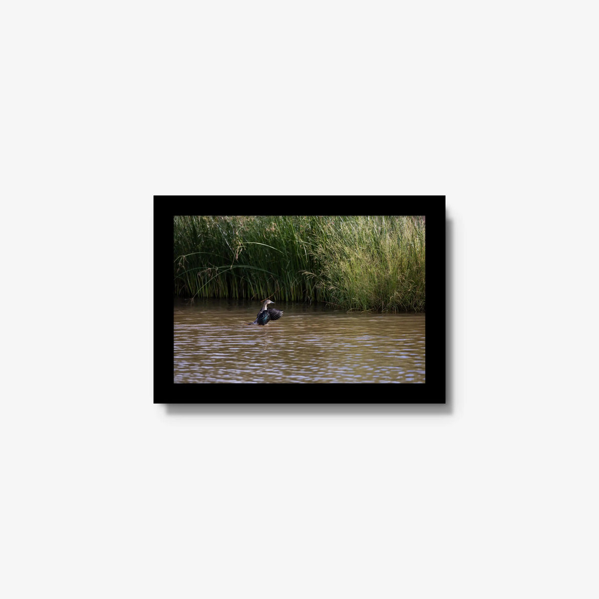 Wing Over Still Water — mini / black / full