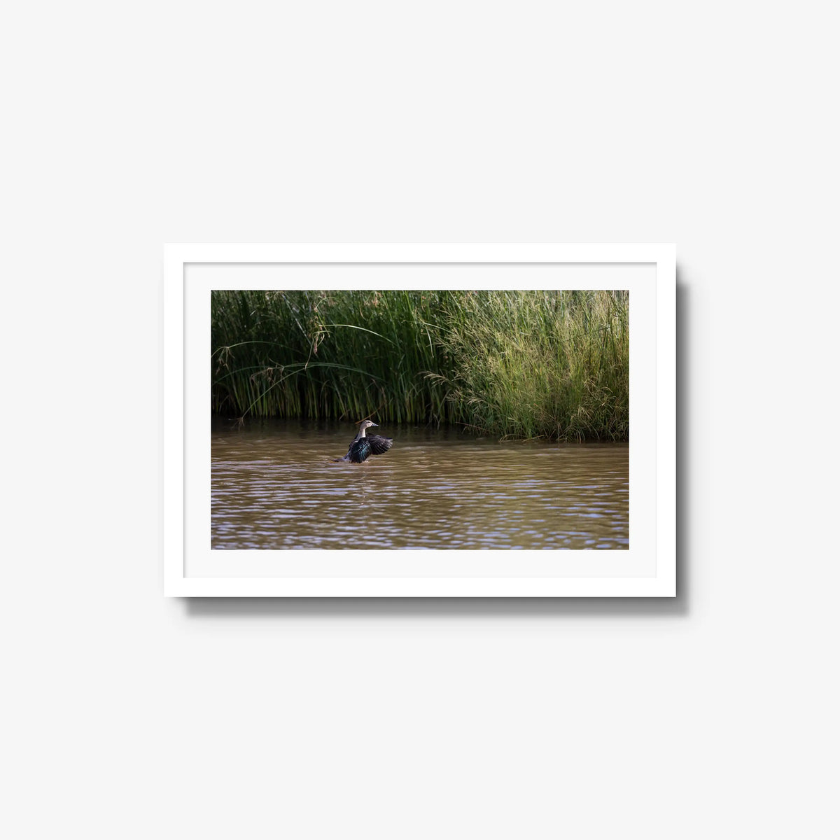 Wing Over Still Water — medium / white / mat