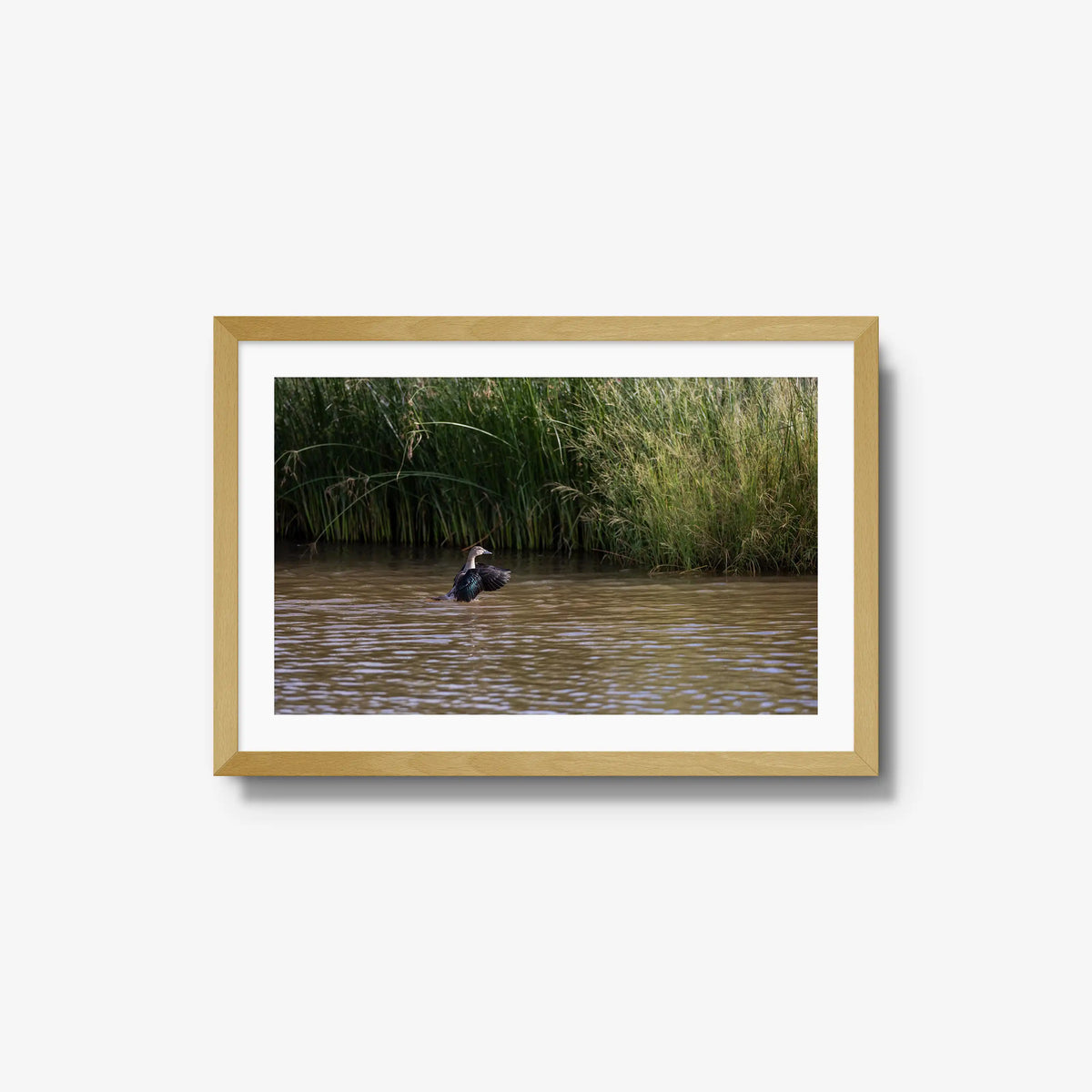 Wing Over Still Water — medium / natural / mat
