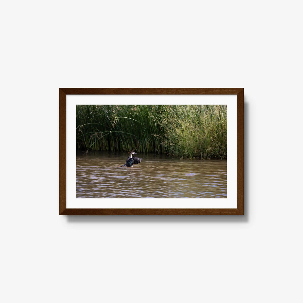 Wing Over Still Water — medium / brown / mat