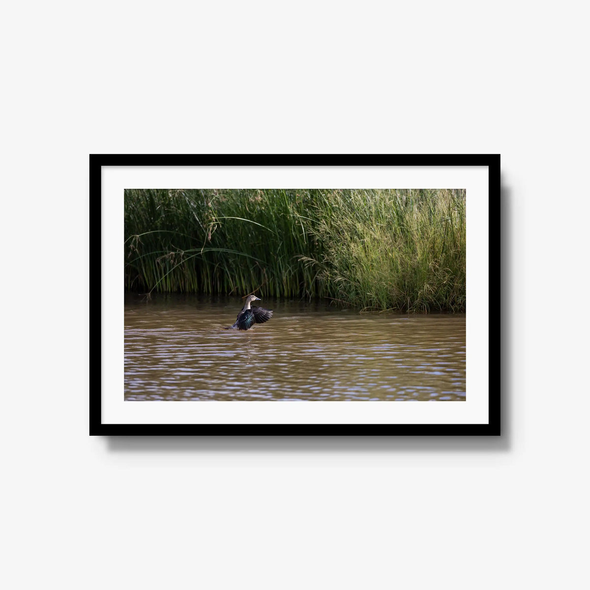 Wing Over Still Water — large / black / mat