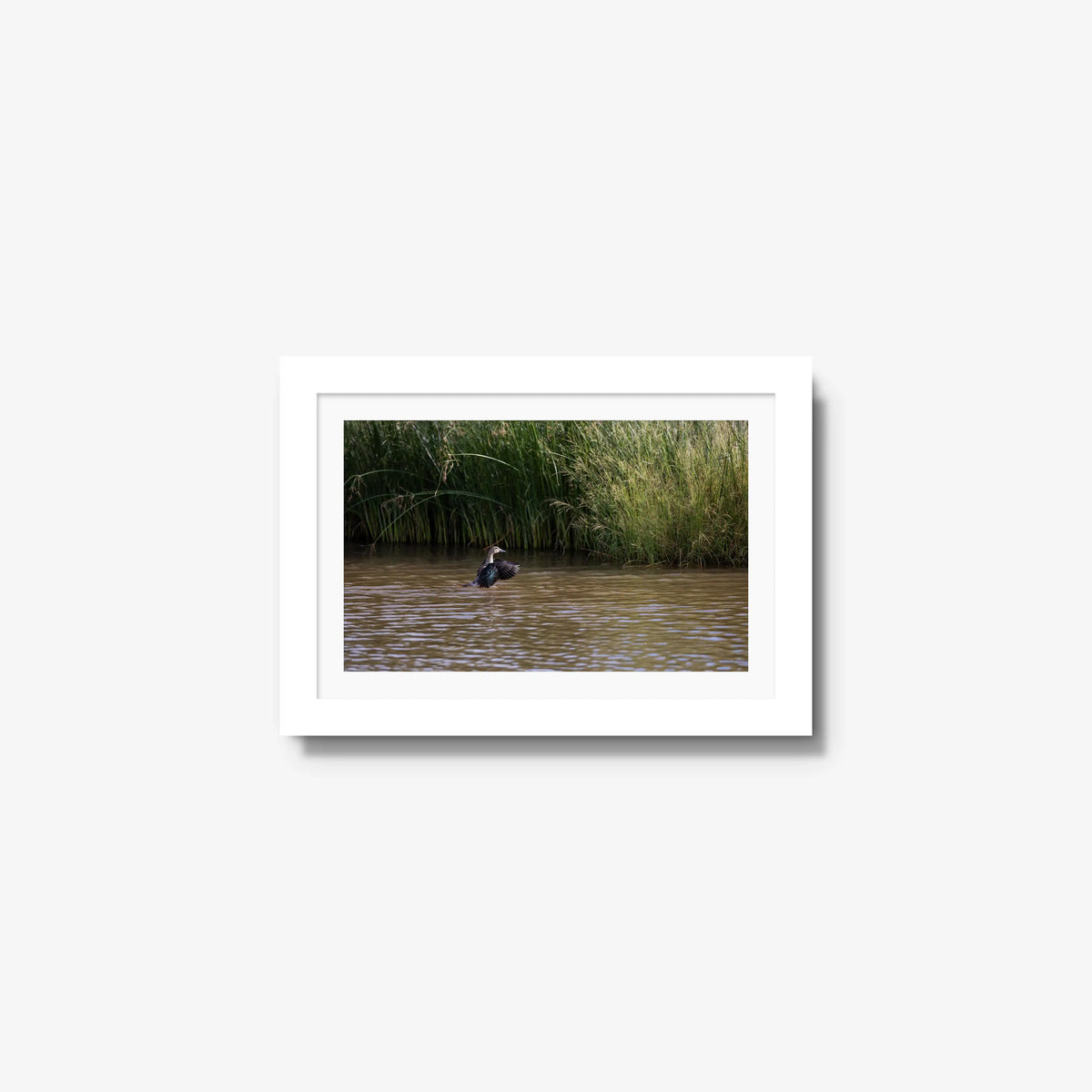 Wing Over Still Water — mini / white / mat