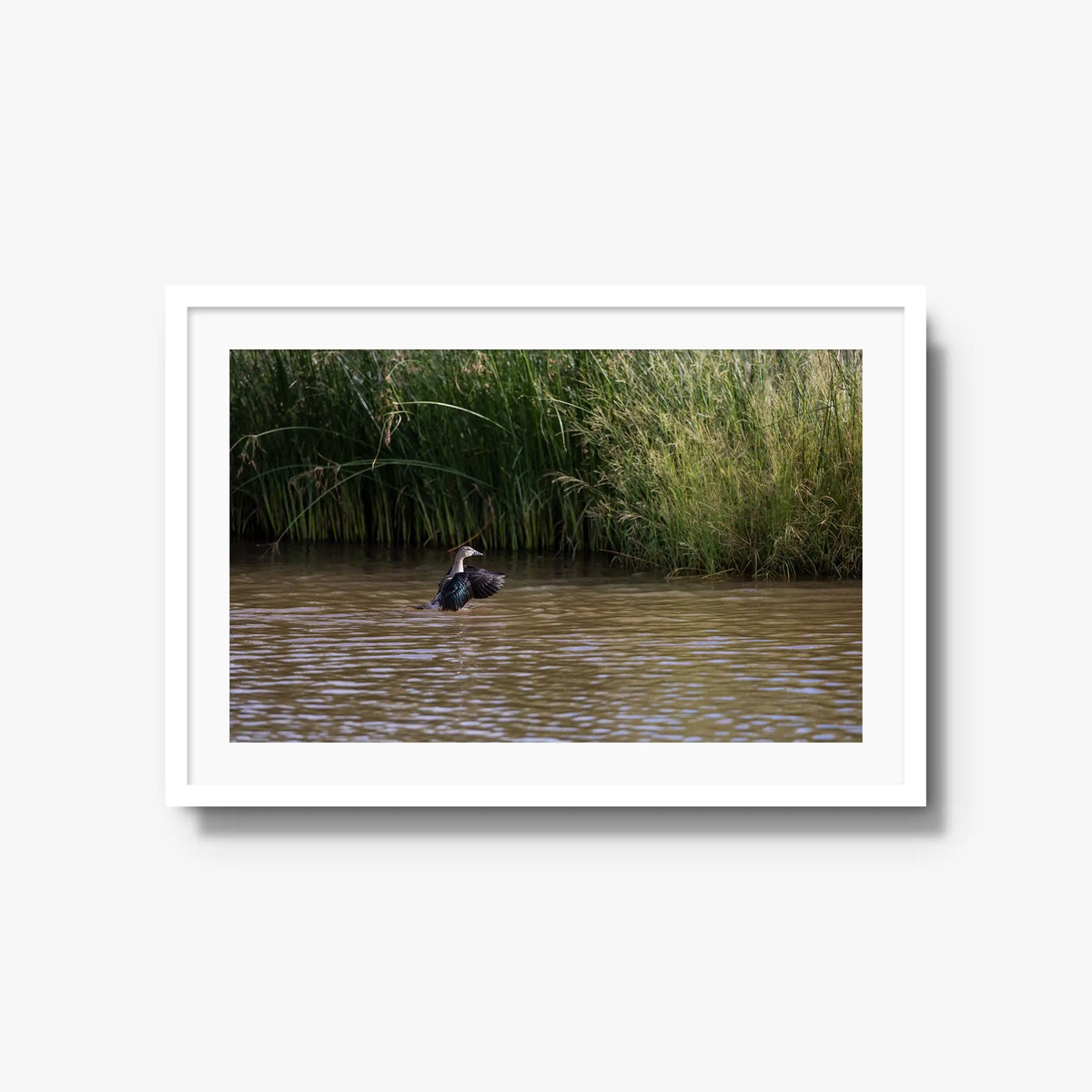 Wing Over Still Water — large / white / mat