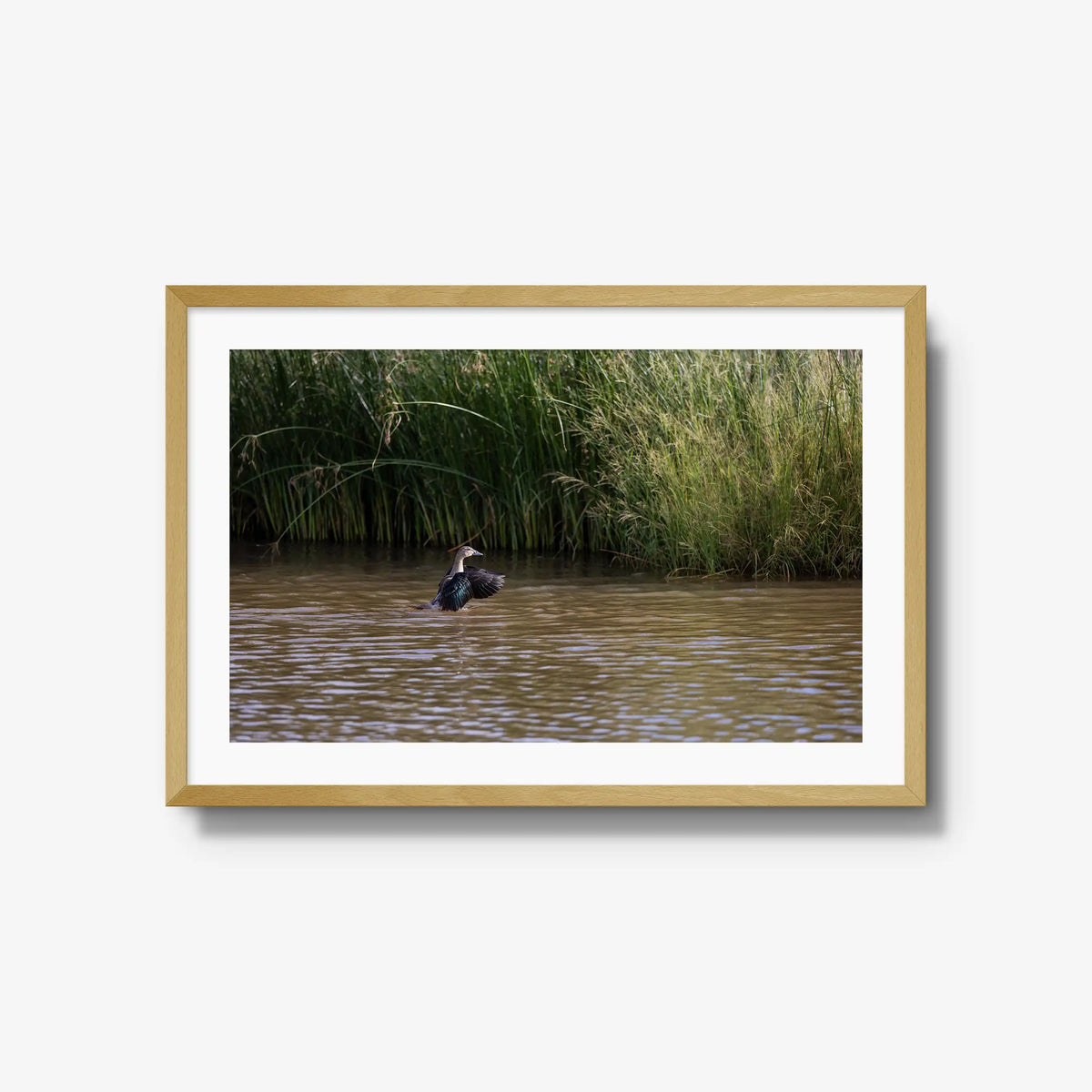 Wing Over Still Water — large / natural / mat
