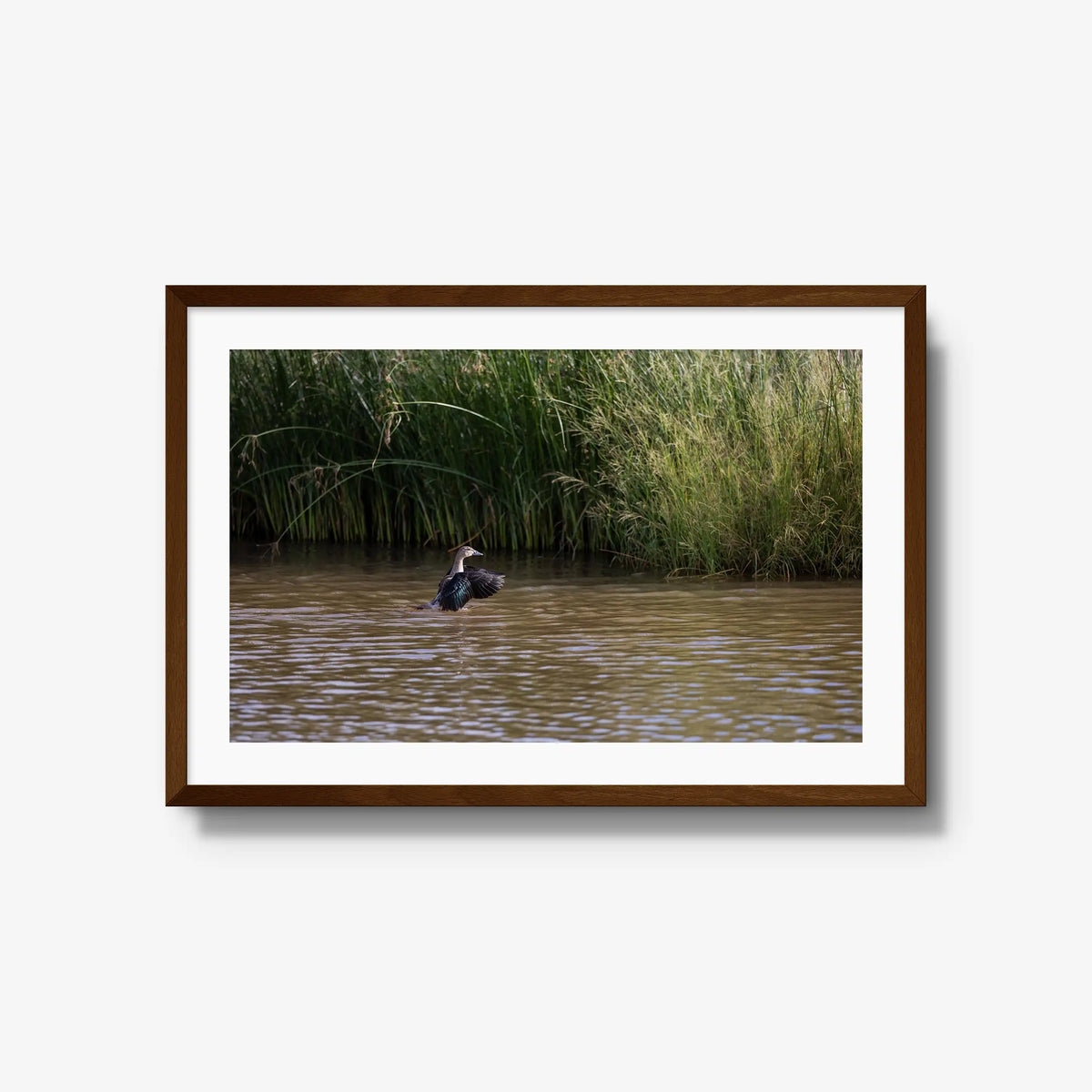 Wing Over Still Water — large / brown / mat