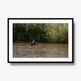 Wing Over Still Water — gallery / black / mat