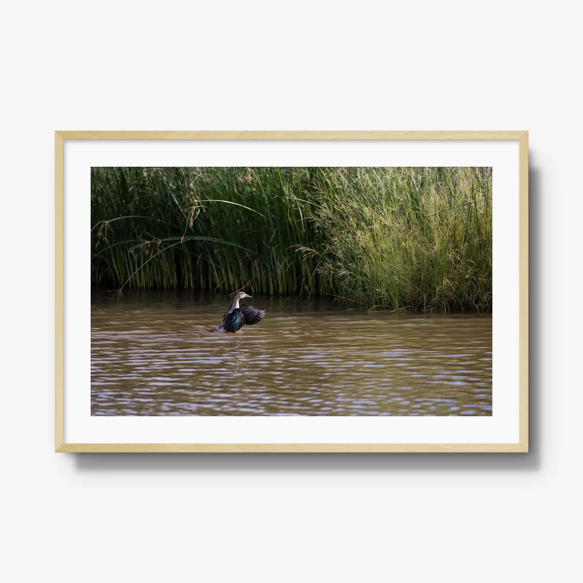 Wing Over Still Water — gallery / natural / mat