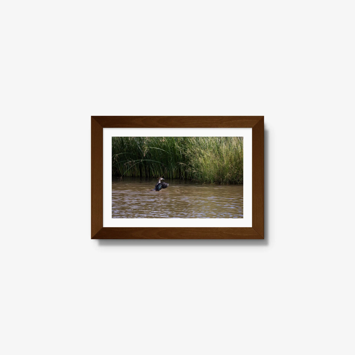 Wing Over Still Water — mini / brown / mat