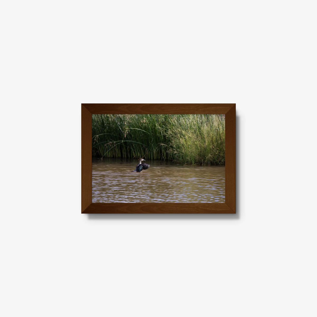 Wing Over Still Water — mini / brown / full