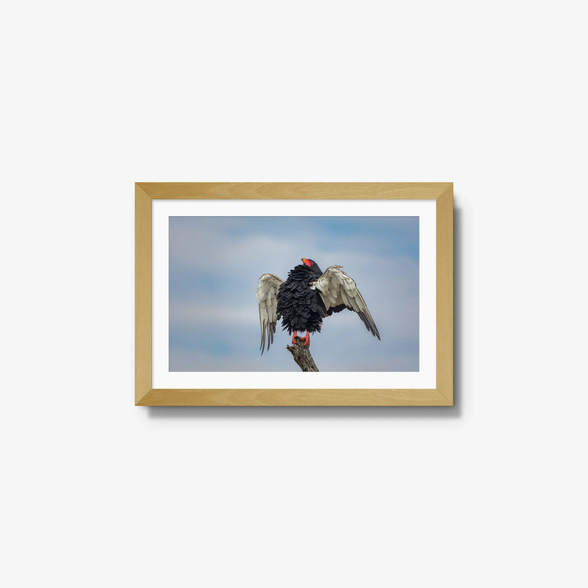 Wingspan — small / natural / mat