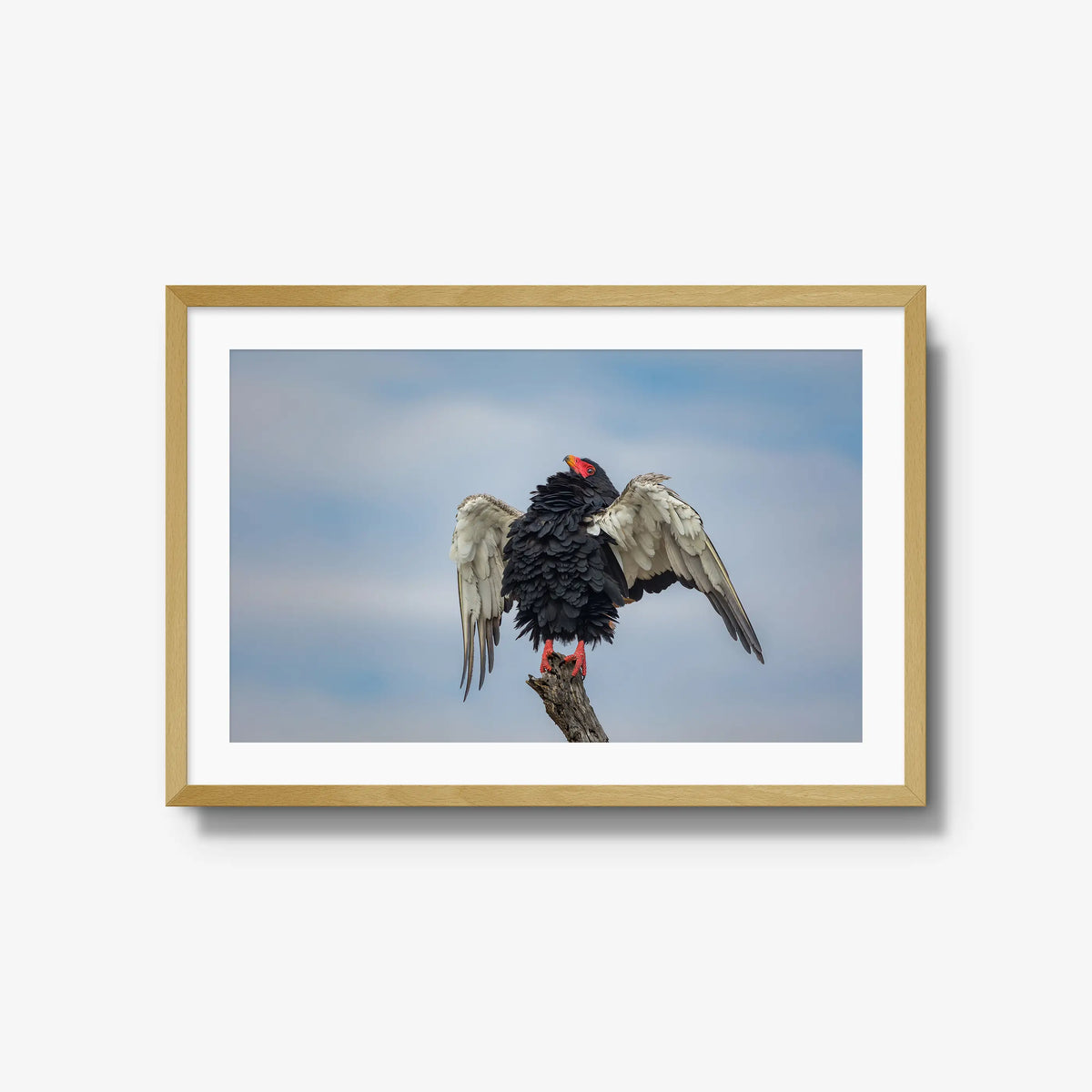 Wingspan — large / natural / mat