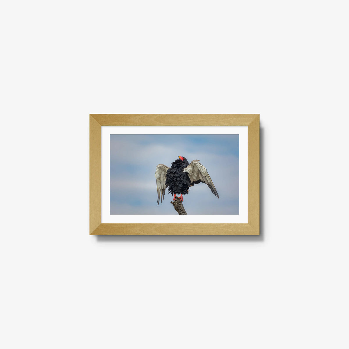 Wingspan — mini / natural / mat